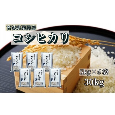 【令和6年産】宮城栗原産 コシヒカリ 白米30kg (5kg×6袋)