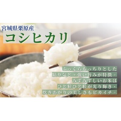 【毎月定期便】宮城栗原産 コシヒカリ 白米5kg全6回