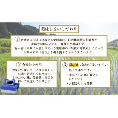 【毎月定期便】宮城栗原産 コシヒカリ 白米5kg全6回