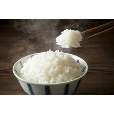 【毎月定期便】宮城栗原産 つや姫 白米5kg全12回