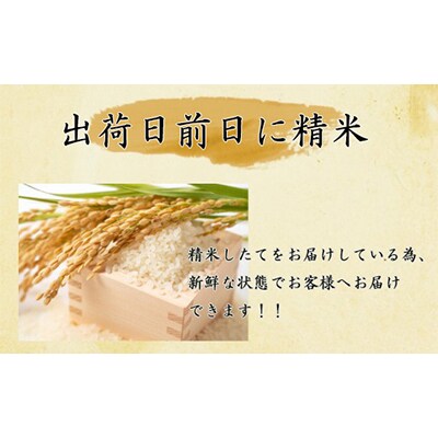 【毎月定期便】宮城栗原産 つや姫 白米5kg全6回