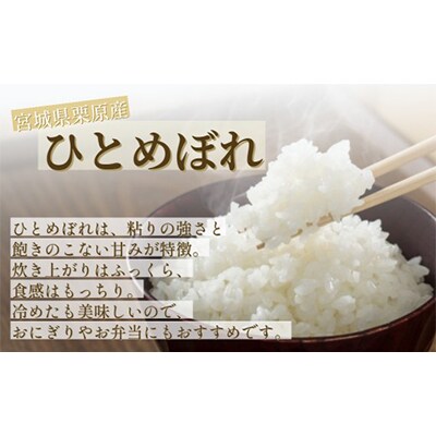 【毎月定期便】宮城県栗原産ひとめぼれ 白米 5kg 全12回