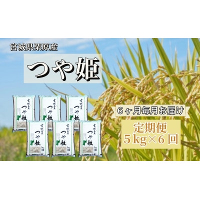 【毎月定期便】宮城県栗原産 つや姫 白米 5kg 全6回