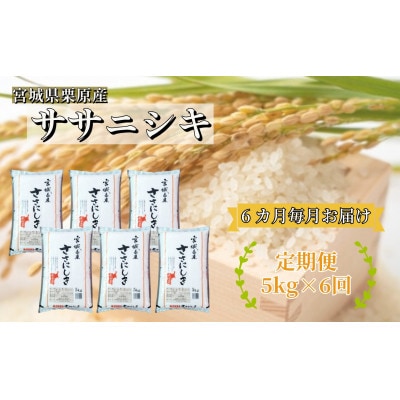 【毎月定期便】宮城県栗原産 ササニシキ 白米 5kg全6回