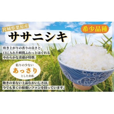 【毎月定期便】宮城県栗原産 ササニシキ 白米 5kg全6回
