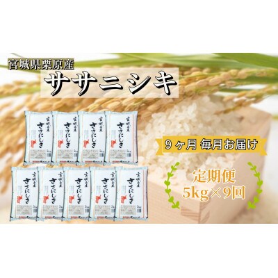 【毎月定期便】宮城県栗原産 ササニシキ 白米 5kg全9回