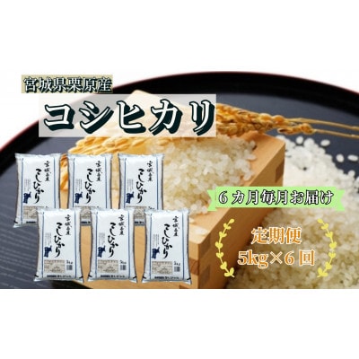 【毎月定期便】宮城県栗原産 コシヒカリ 白米 5kg全6回