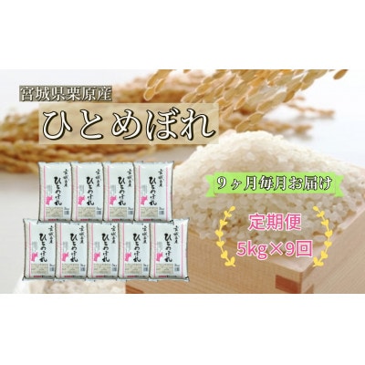 【毎月定期便】ひとめぼれ白米5kg 宮城県栗原産全9回