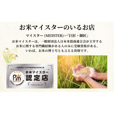 【毎月定期便】ひとめぼれ白米5kg 宮城県栗原産全9回