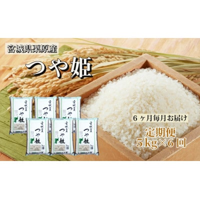 【毎月定期便】つや姫白米5kg 宮城県栗原産全6回