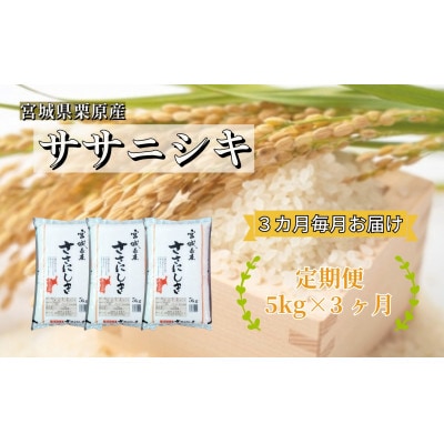 【毎月定期便】ササニシキ白米5kg(5kg×1袋) 宮城県栗原産全3回