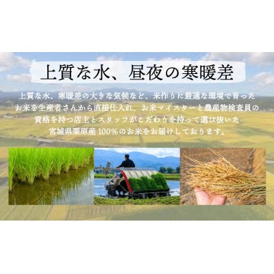 【毎月定期便】コシヒカリ白米5kg 宮城県栗原産全3回