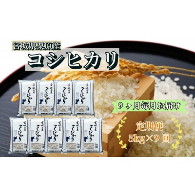 【毎月定期便】コシヒカリ白米5kg 宮城県栗原産全9回