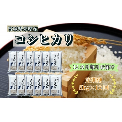 【毎月定期便】コシヒカリ白米5kg 宮城県栗原産全12回