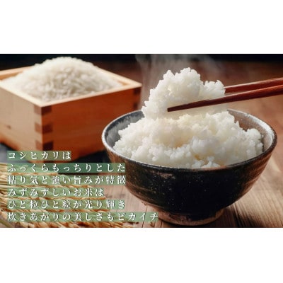 【毎月定期便】コシヒカリ白米5kg 宮城県栗原産全12回