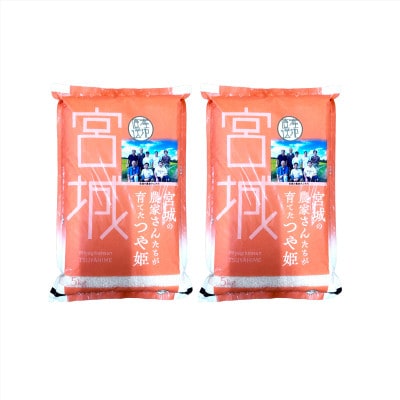 つや姫 10kg(5kg×2袋) 宮城県栗原市産