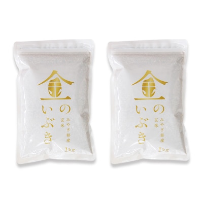 【令和2年産】金のいぶき だて正夢 2品目 オリジナルセット (合計6kg)