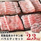 栗駒高原カテキン豚バラエティセット 約2.3kg