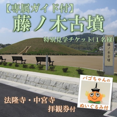【専属ガイド付】藤ノ木古墳を限定見学　斑鳩の里満喫セット(1名様用)