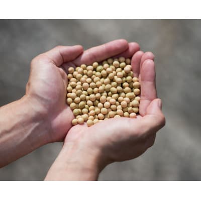 創業明治33年ニシキ醤油の定番!にっぽん丸大豆しょうゆ720ml　6本セット