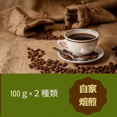 発送当日珈琲豆焙煎!スペシャルティ珈琲豆100g×2種類(中挽き)