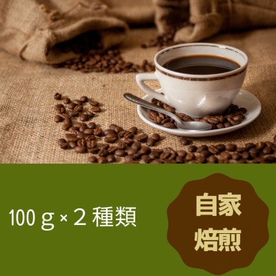 発送当日珈琲豆焙煎!スペシャルティ珈琲豆100g×2種類(中挽き)