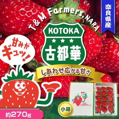 いちご　古都華・ことか 1パック(8～15粒入り)