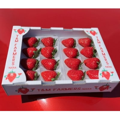 いちご　古都華・ことか2パック(8～15粒入り/1pc)