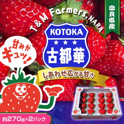 いちご　古都華・ことか2パック(8～15粒入り/1pc)