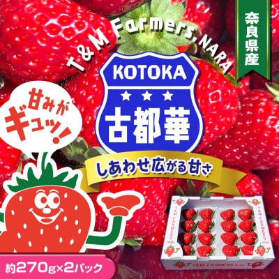 いちご　古都華・ことか2パック(8～15粒入り/1pc)