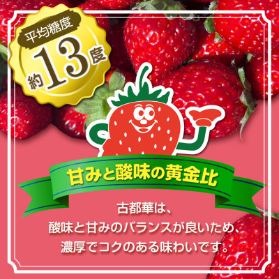 いちご　古都華・ことか2パック(8～15粒入り/1pc)