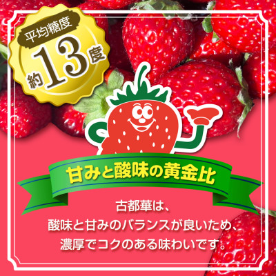 いちご　古都華・ことか2パック(8～15粒入り/1pc)