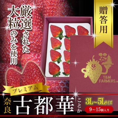 いちご　古都華・ことか　大粒　1パック(9～15粒入り)