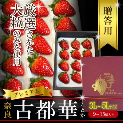 いちご　古都華・ことか　大粒　1パック(9～15粒入り)