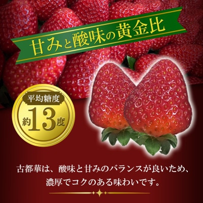 いちご　古都華・ことか　大粒　1パック(9～15粒入り)