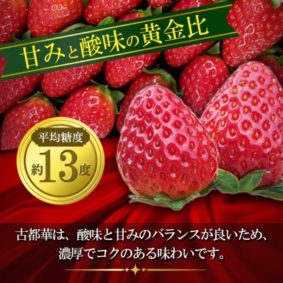 いちご　古都華・ことか　大粒　1パック(9～15粒入り)