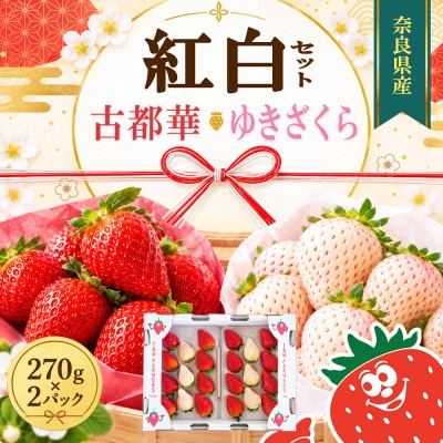 【古都華 × ゆきざくら】紅白いちごセット　2パック(8～15粒入り/1pc)