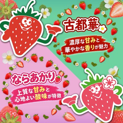 【古都華 × ならあかり】食べ比べセット　2パック(8～15粒入り/1pc)
