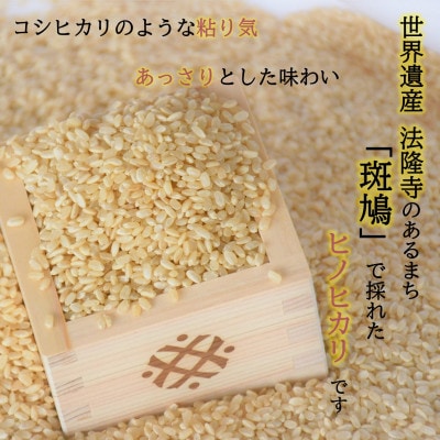 世界遺産「法隆寺」のあるまちで採れた玄米【ヒノヒカリ】5.5kg　令和7年産