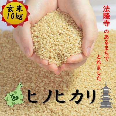 世界遺産「法隆寺」のあるまちで採れた玄米【ヒノヒカリ】10kg　令和7年産