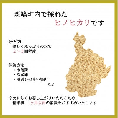 世界遺産「法隆寺」のあるまちで採れた玄米【ヒノヒカリ】10kg　令和7年産