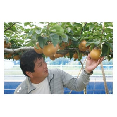 真心こめた「あきづき」5キロ