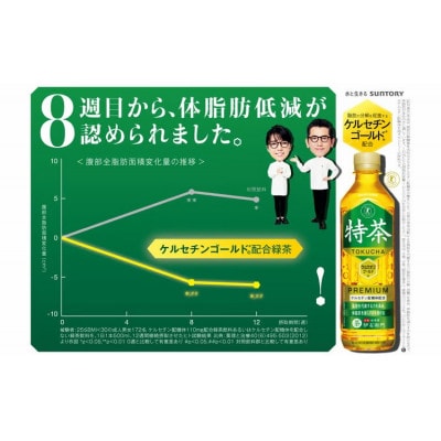 サントリー 伊右衛門特茶 500ml 24本 1ケース