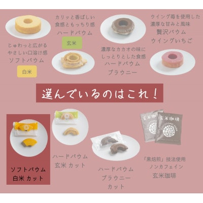 【ココトモファーム】自家製生米粉100%のしっとりバウムクーヘン　ココトモBOX　CB-050-10