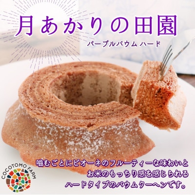 【ココトモファーム】パープルバウム ハード　月あかりの田園　ピオーネ