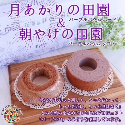 【ココトモファーム】パープルバウム　ギフトBOX(ハード&ソフト)ピオーネ