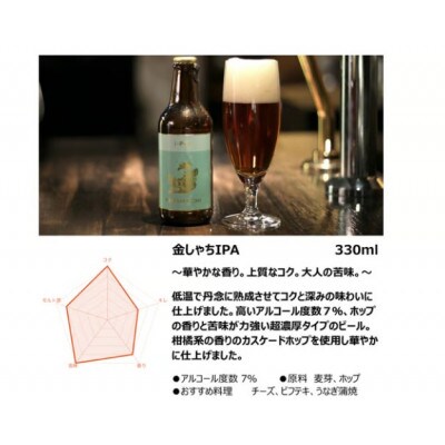 30-6_金しゃちビール24本セット