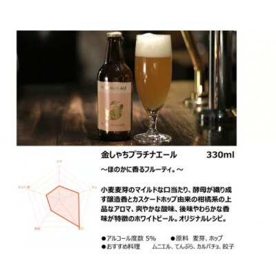 30-6_金しゃちビール24本セット