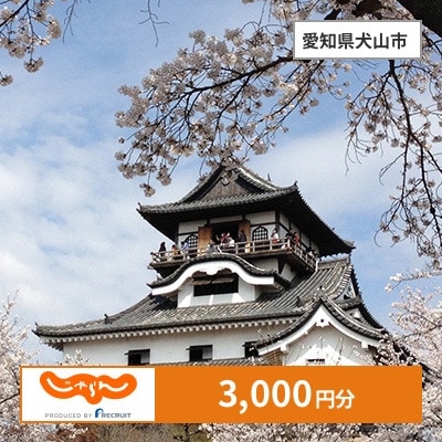 【じゃらんふるさと納税クーポン】 愛知県犬山市でつかえる3,000円 クーポン