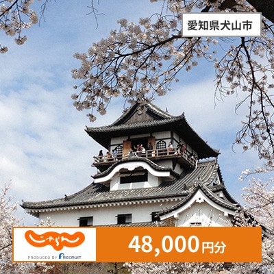 【じゃらんふるさと納税クーポン】 愛知県犬山市でつかえる48,000円 クーポン